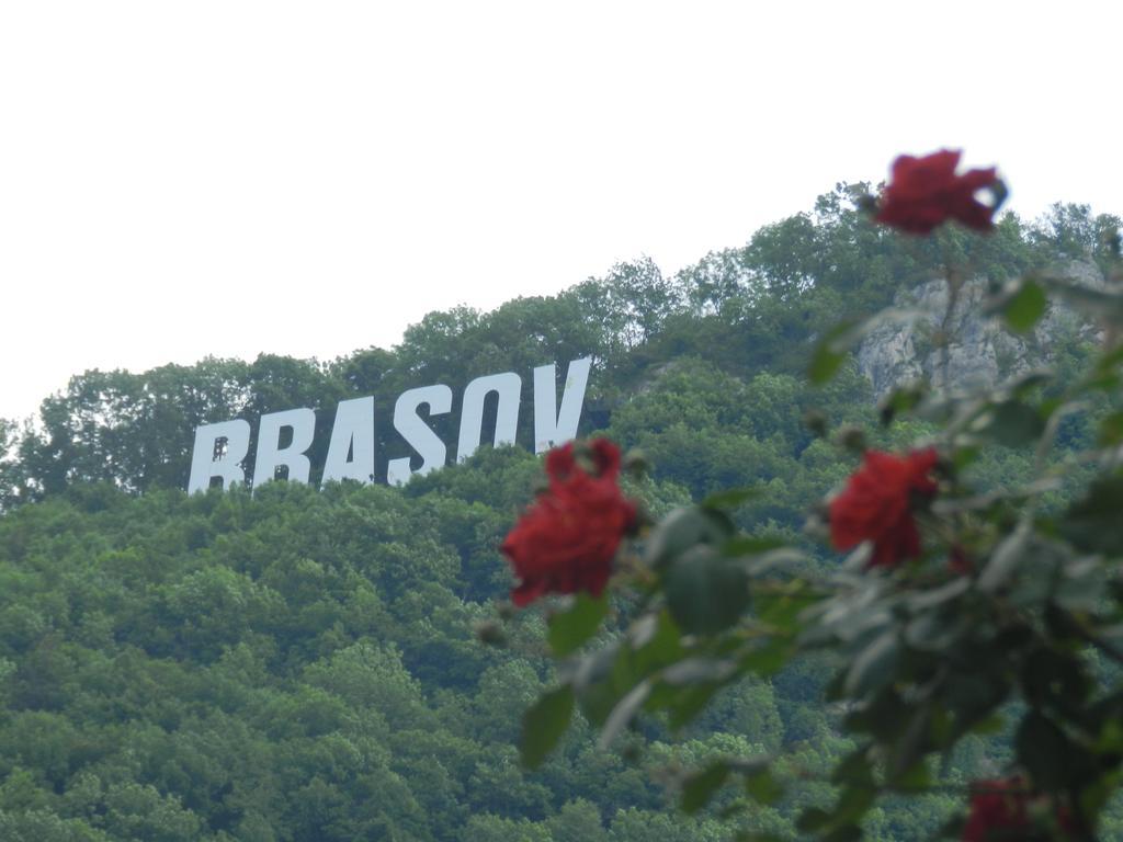 La Vita E Bella Brasov Exterior photo